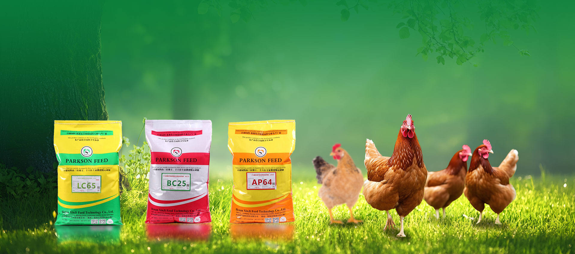 Professional manufacturer of poultry premixes