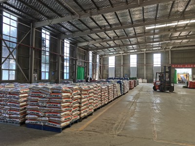 What are your options for cleaning up blue ear disease?