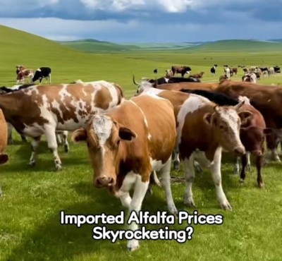 Providing specialized feed for your livestock
